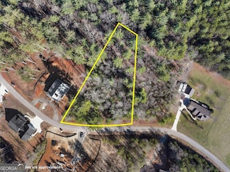 0 Nathaniels Way Unit 10438142, Blairsville, GA 30512