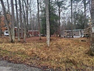 106 Larch Cir, Flinton, PA 16640