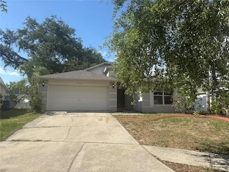 4706 Dragon Tail Ct, Valrico, FL 33594