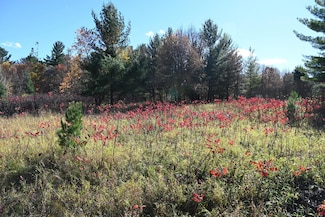 TBD Pike Ct, Fawn Lake Township, MN 56438