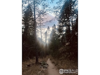 1037 Wagonwheel Gap Rd, Boulder, CO 80302