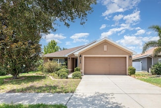 10847 Kirkwall Port Dr, Wimauma, FL 33598