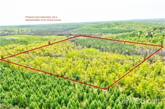 40A TBD Off Sand (N4098) Rd, Perronville, MI 49873