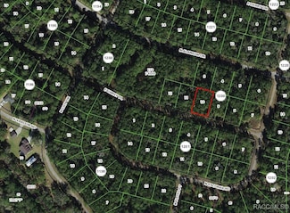 1345 E Urmey Place, Dunnellon, FL 34434