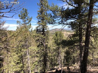 213 Osoeola Rd, Woodland Park, CO 80863