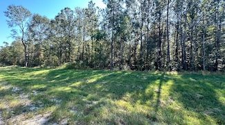 11530 Bramble Ct, Willis, TX 77378