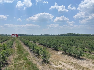 6595 N Custer Rd, Free Soil, MI 49411