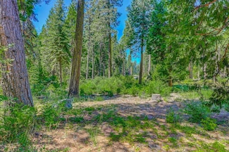 10 Timber Trail Ct, Dorrington, CA 95223