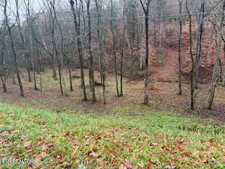 0 Lot 13 14 Highland Tr Unit 1322791, Sharps Chapel, TN 37866