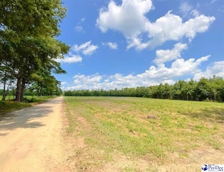 1400 Kelley Rd, Olanta, SC 29114