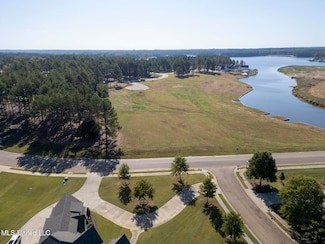 356 Lake Village Dr, Madison, MS 39110