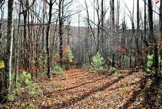 TBD16.06ac Ridgeview Rd NW, Floyd, VA 24091