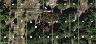 2405 Reagan St, Inverness, FL 34453