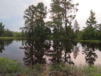 On Land Fill Rd, Newton, MS 39345