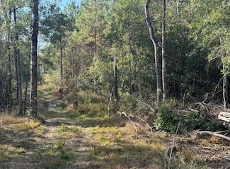 000 J Bailey Rd, Wiggins, MS 39577