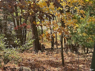 0000 Miramichi Dr, Evart Township, MI 49631