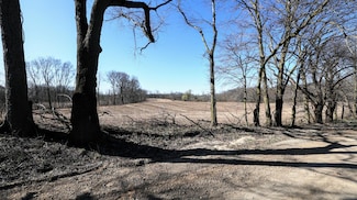 VL Hoffman Street Lot#wp001 St, Vandalia, MI 49095