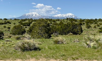 0 Twin Lakes Ranch Unit Lot 171 24-28, Walsenburg, CO 81089
