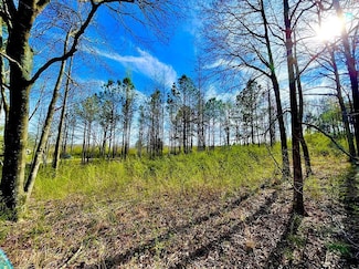 4191 County Road 1669, Cullman, AL 35058