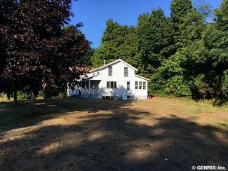 13164 Chapman Corners Rd, Red Creek, NY 13143