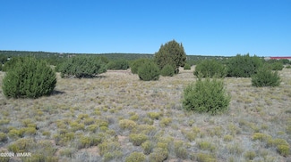 20 Cr Rd Unit 8212, Concho, AZ 85924