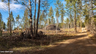 773 Cougar Loop, Clark Fork, ID 83811