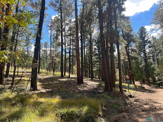 57 E Forest Dr, Rociada, NM 87742