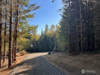 0 Misty Hill Rd Unit 1 & 2 NWM2369055, Toutle, WA 98649