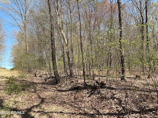 0 Dog Leg Ln, Roaring Creek Township, PA 17820