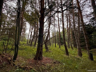 TBD 5.23 Messner, Baraga Township, MI 49908