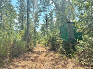 0 Dickie Rd, Soso, MS 39480