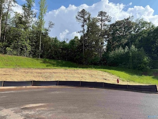 Lot 6 Tumbleweed Dr, Guntersville, AL 35976