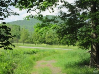 4 County Road 23c, Tannersville, NY 12485