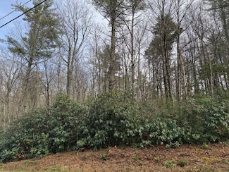 Tbd Joe Poore Rd, Jonas Ridge, NC 28657