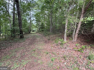 0 Sunflower Dr Unit 10590900, Hartwell, GA 30643