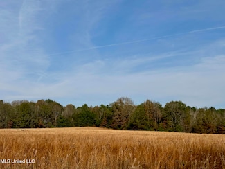 0001 Pisgah Bottom Rd, Canton, MS 39046