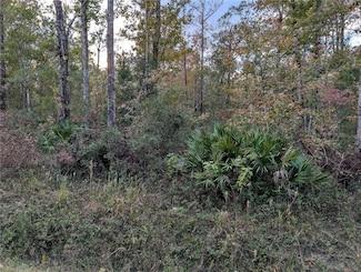 10660 Turpin Ave, Hastings, FL 32145