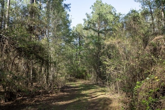 0 Shortstraw Rd, Choudrant, LA 71227