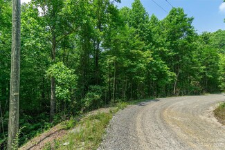 99999 Sand Branch Rd, Black Mountain, NC 28711