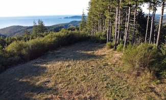 0 China Mountain Rd Unit 23894781, Port Orford, OR 97465