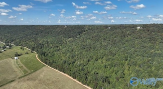 Lot 3 County Road 223, Collinsville, AL 35961