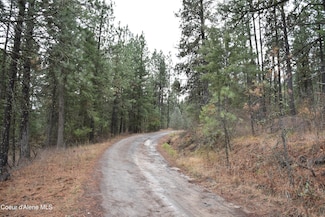 NKA Shady Ln, Desmet, ID 83824