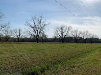 Lot 8 Fechtman Rd, Hawkinsville, GA 31036