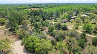2037 Vz County Road 4410, Ben Wheeler, TX 75754
