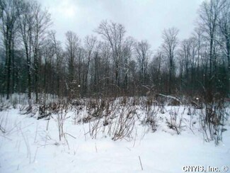 OFF County Route 2, Redfield, NY 13437