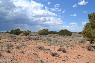 Lot 020E E 24th St N, Snowflake, AZ 85937