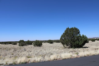 7668 Arroyo Plata Dr, Show Low, AZ 85901