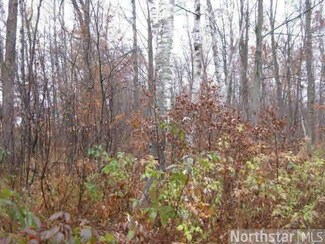 0 270th-Avenue- Unit 4409386, McKinley, WI 54837