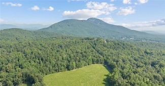 A Highland Forest Rd, Cleveland, GA 30528