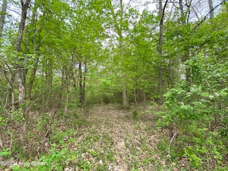 17810 Deertrace Ln, Louisville, KY 40023